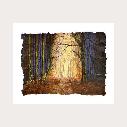 'Out of the Woods' Fine Art Print