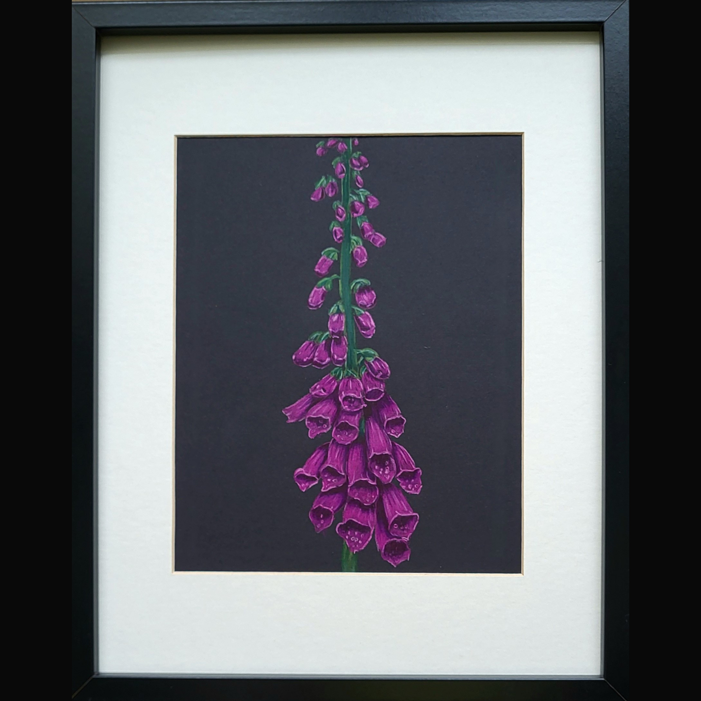 Foxgloves