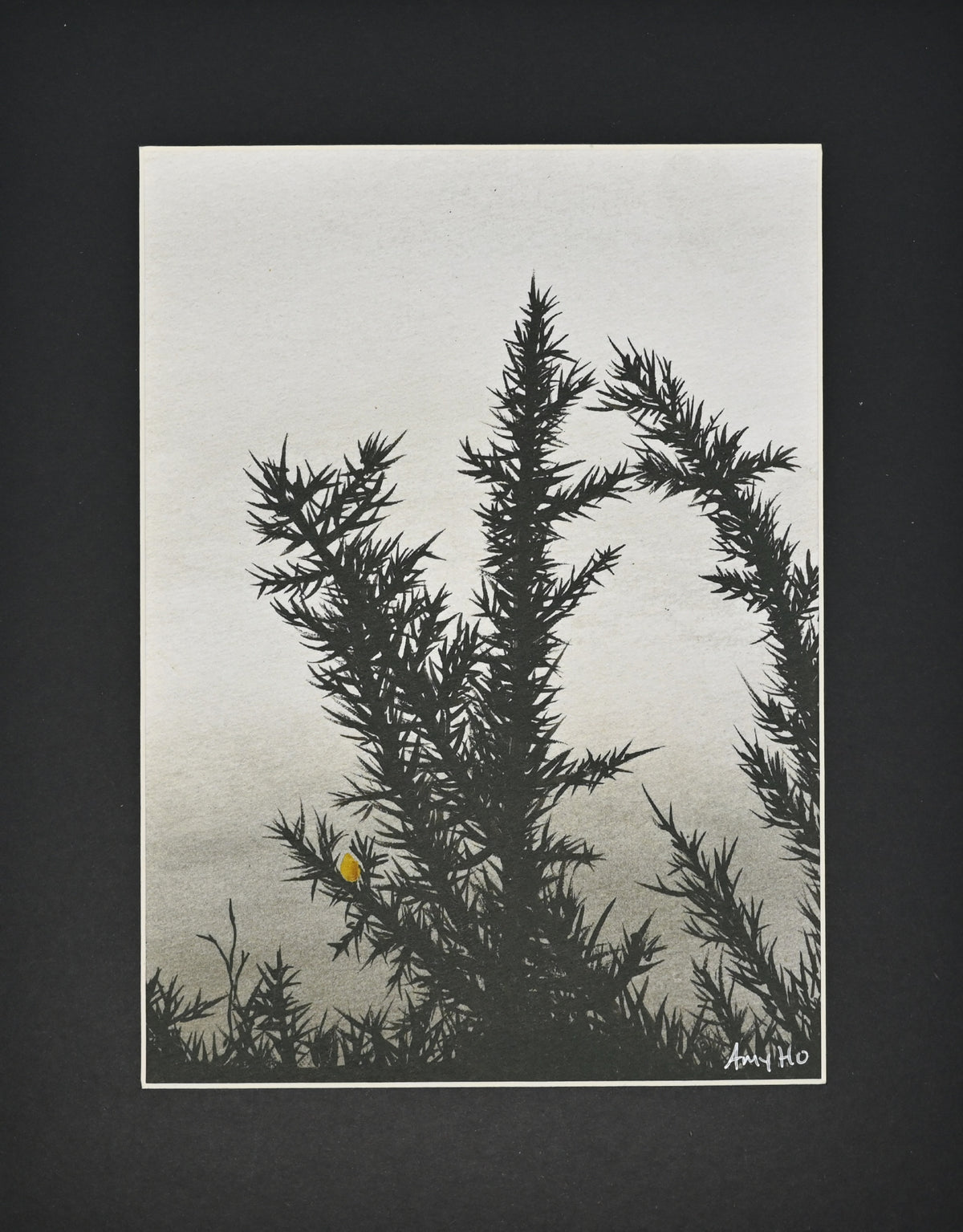 'Black and White Gorse' Print
